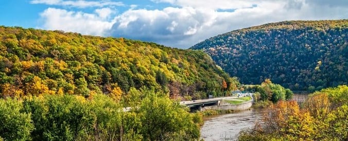 green trees and river at the poconos